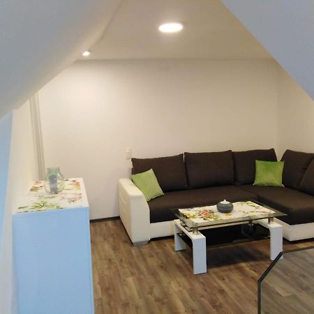 Ferienhaus Bauer Wohnung 2 Trattenbach  エクステリア 写真