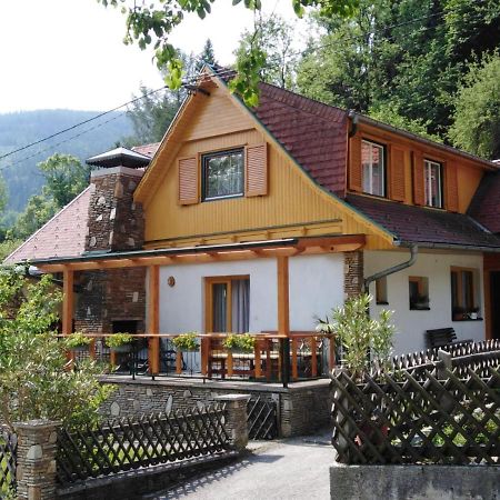 Ferienhaus Bauer Wohnung 2 Trattenbach  エクステリア 写真
