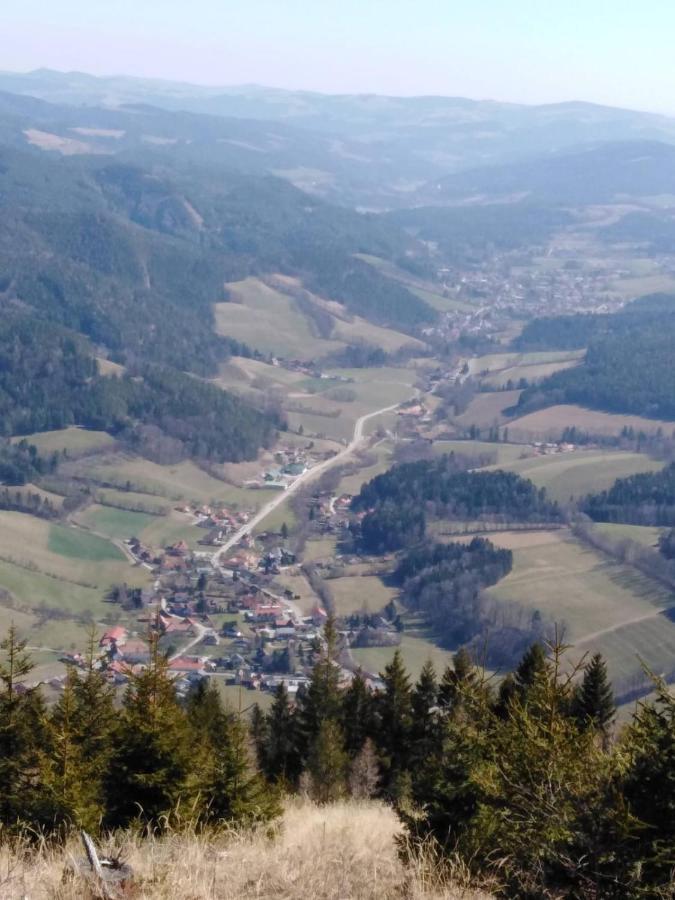 Ferienhaus Bauer Wohnung 2 Trattenbach  エクステリア 写真