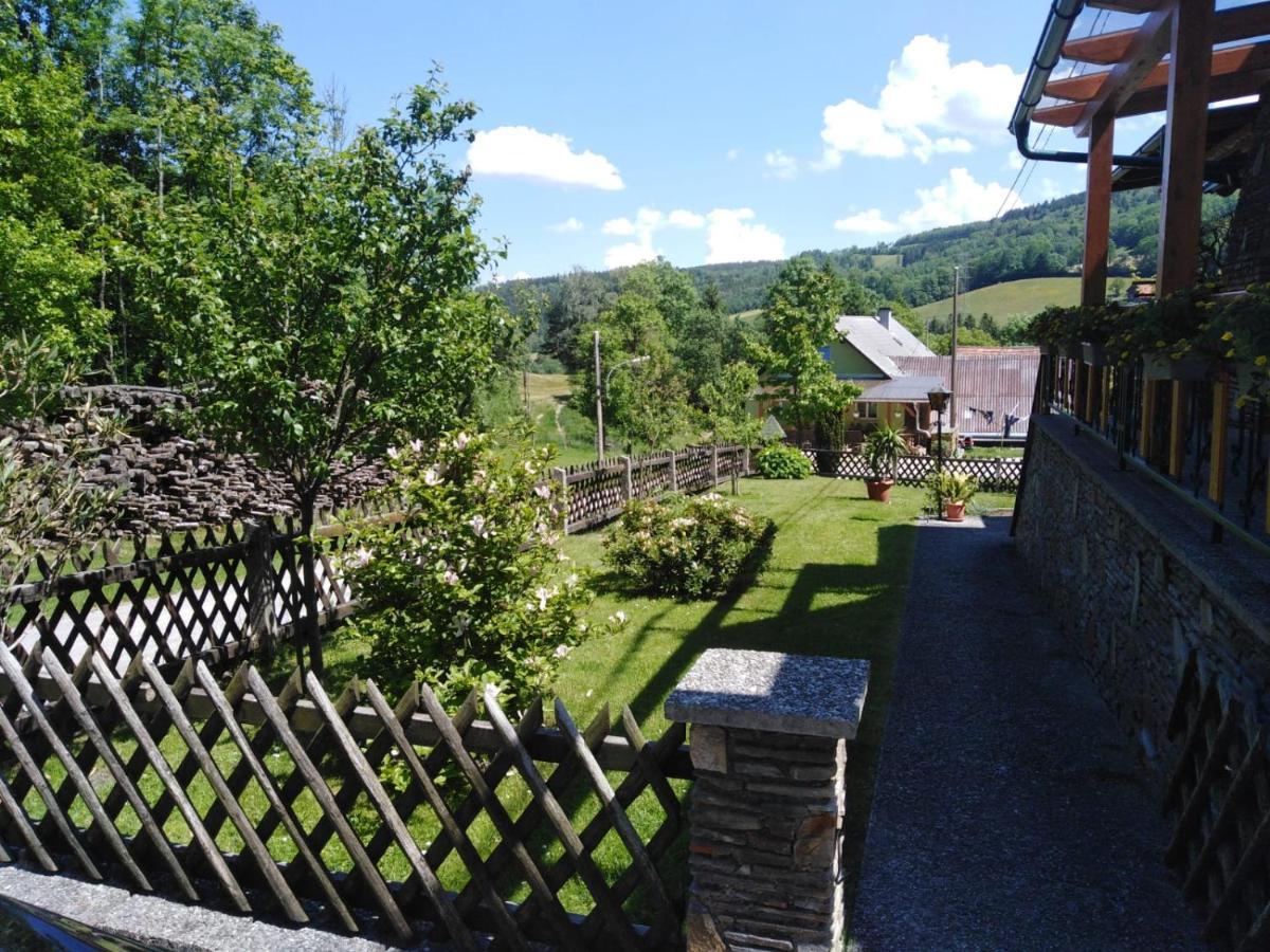 Ferienhaus Bauer Wohnung 2 Trattenbach  エクステリア 写真