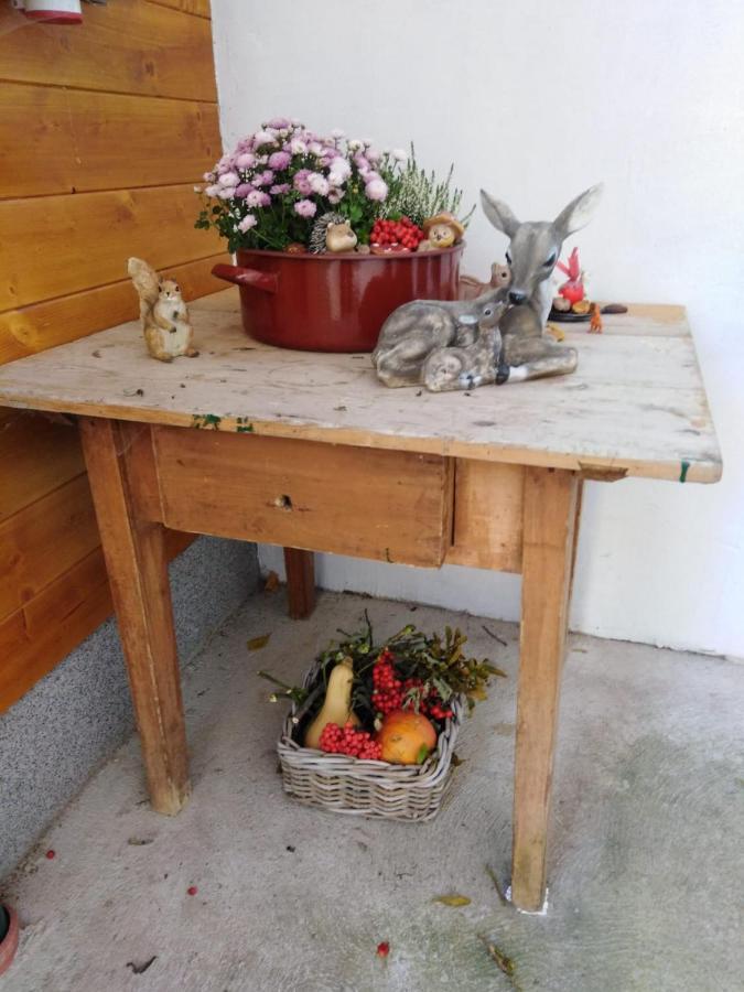Ferienhaus Bauer Wohnung 2 Trattenbach  エクステリア 写真